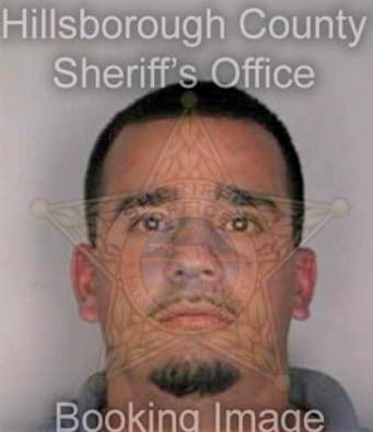 Sepulveda Daniel - Hillsborough County, FL 