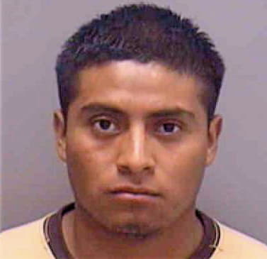 Toc-Gonzlaez Isaias - Lee County, FL 