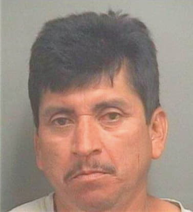 Montejo Juan - PalmBeach County, FL 