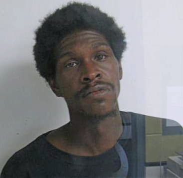 Webster Lawaun - McMinn County, TN 