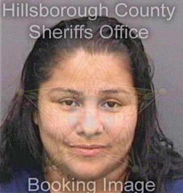 Martinezcastillolara Teresa - Hillsborough County, FL 