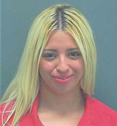 Fernandez Yazmin - Lee County, FL 