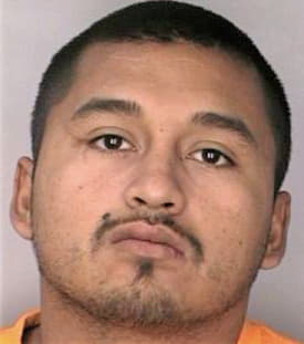 Nieto Antonio - Hillsborough County, FL 