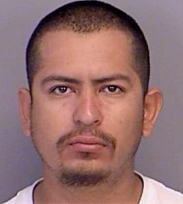 Guevara Cesar - Brazos County, TX 
