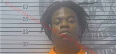 Stacy Lebar - Harrison County, MS 