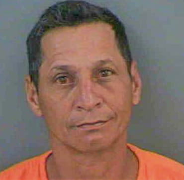 Garciadiaz Alejandro - Collier County, FL 