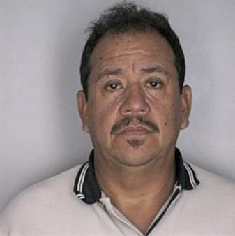 Castano Camilo - Hillsborough County, FL 