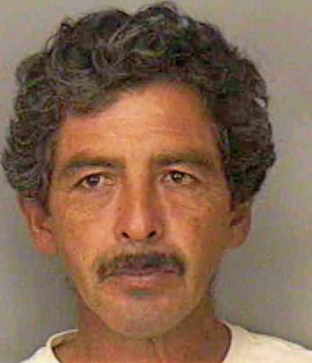 Rivas Leopoldo - Polk County, FL 