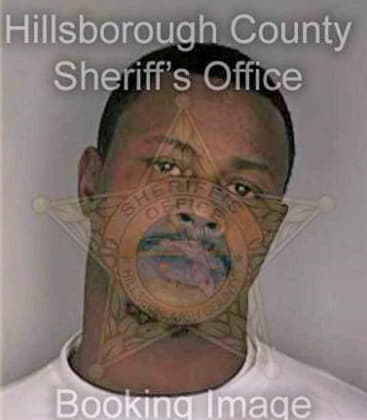 Davis Michael - Hillsborough County, FL 