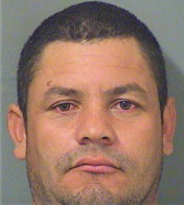Diaz Wilmer - PalmBeach County, FL 