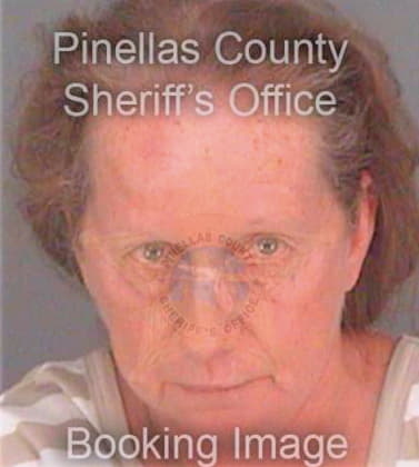 Dietzel Barbara - Pinellas County, FL 