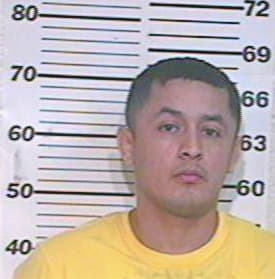 Guerrero Jose - Hidalgo County, TX 