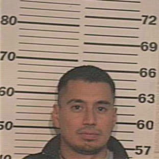 Palomares Jose - Hidalgo County, TX 