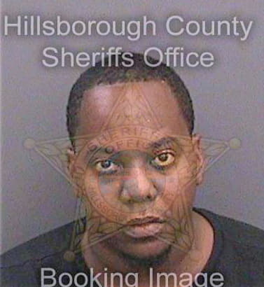 Jeanfelix Lesley - Hillsborough County, FL 