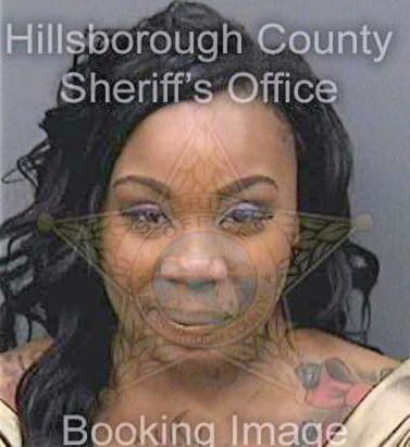 Perry Lillie - Hillsborough County, FL 