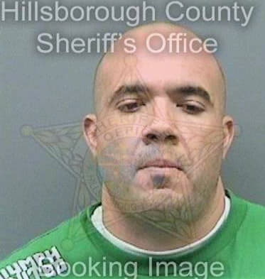 Alvarez Raymond - Hillsborough County, FL 