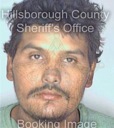 Galicia Rodolfo - Hillsborough County, FL 