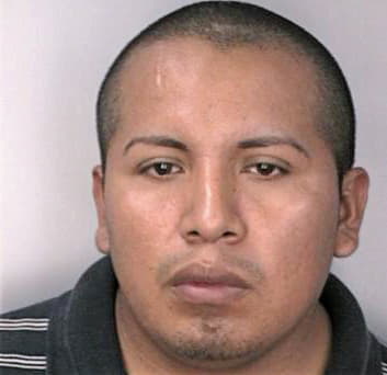 Thomas Alejandro - Hillsborough County, FL 