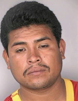 Trejo Domingo - Hillsborough County, FL 