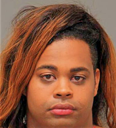 Webb Alexandre - Wake County, NC 
