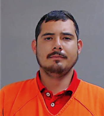 Flores Diego - Hidalgo County, TX 