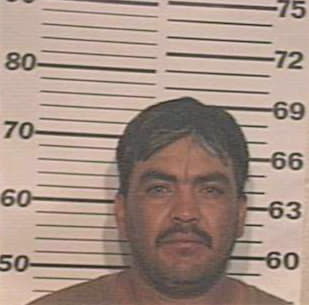 De-La-Cruz Octavio - Hidalgo County, TX 