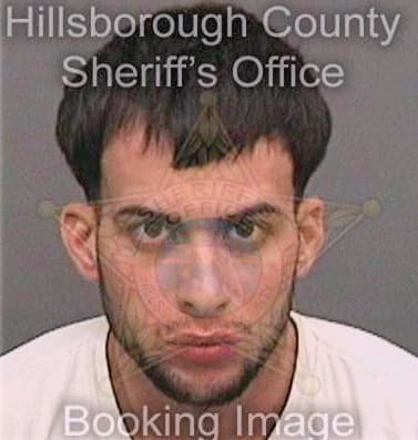Palaciosuarez Rafael - Hillsborough County, FL 