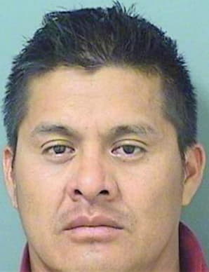 Gonzales Alejandro - PalmBeach County, FL 