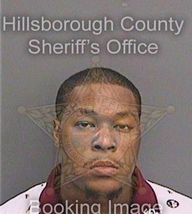 Johnson Dantae - Hillsborough County, FL 