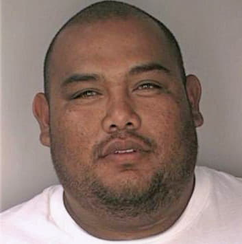 Perez David - Hillsborough County, FL 