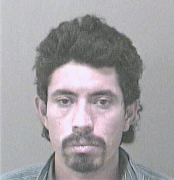 Avalos Ramon - Gwinnett County, GA 