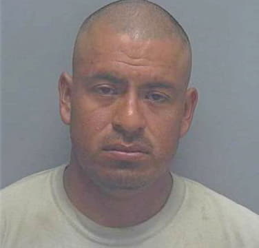 Reyes Silverio - Lee County, FL 