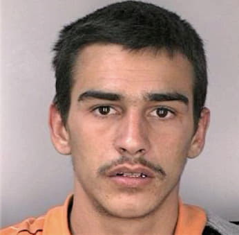 Surratt Dennis - Hillsborough County, FL 