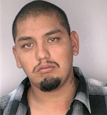 Hernandez Julian - Hillsborough County, FL 