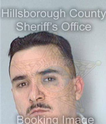 Leon Leonel - Hillsborough County, FL 