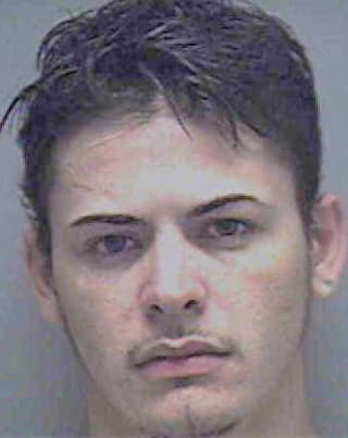 Feliciano Luis - Lee County, FL 