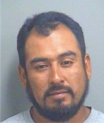 Mendoza Santos - PalmBeach County, FL 