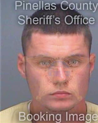 Deane Alex - Pinellas County, FL 