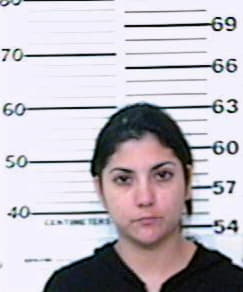 Cantu Dana - Hidalgo County, TX 