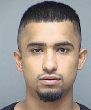 Leon-Soto Hernan - Denton County, TX 