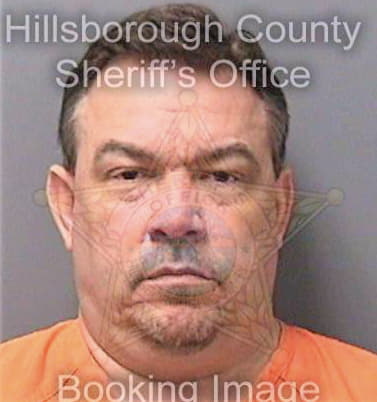 Demartino Joseph - Hillsborough County, FL 