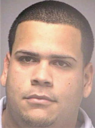 Castro Kenneth - Hillsborough County, FL 