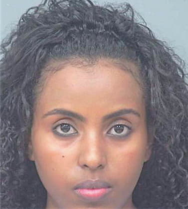 Asfaw Meron - Gwinnett County, GA 