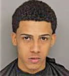 Martinez-Rivera Michael - Greenville County, SC 