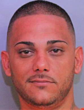 Diaz Anthony - Polk County, FL 