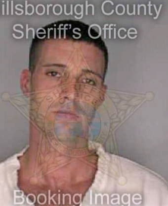 Linville Christopher - Hillsborough County, FL 