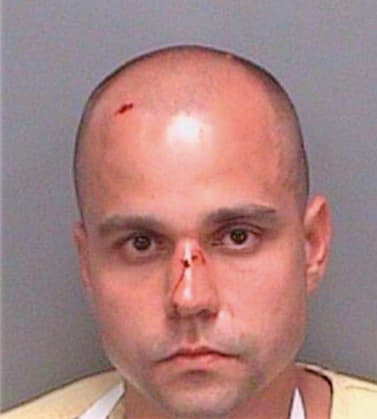 Stonebrook David - Pinellas County, FL 