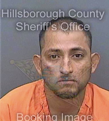 Mendez Fredy - Hillsborough County, FL 