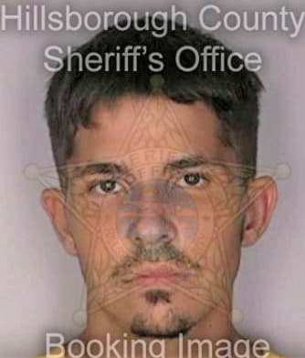 Henk Kenneth - Hillsborough County, FL 