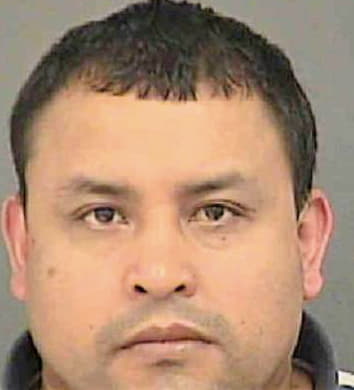 Luna Miguel - Mecklenburg County, NC 